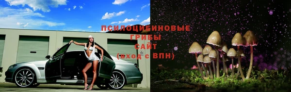 прущая мука Арсеньев
