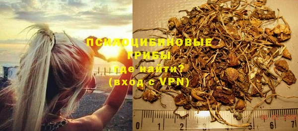 apvp Аркадак