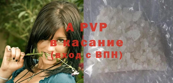 прущая мука Арсеньев