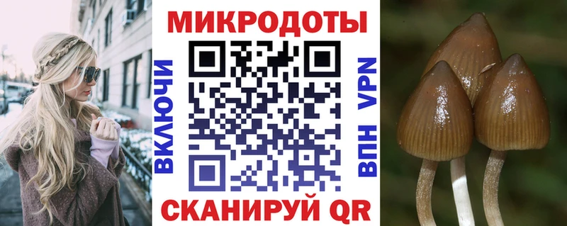 ОМГ ОМГ зеркало Белозерск Галлюциногенные грибы Magic Shrooms